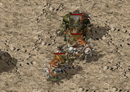 在单职业微端传奇中打宝是指什么 在单职业微端传奇中打宝是指什么