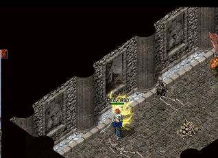 您应该选择正确的目标来执行热血传奇SF中 您应该选择正确的目标来执行热血传奇SF中