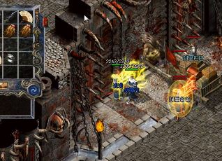 法师要怎么在传奇里抓到虎卫宝宝 法师要怎么在传奇里抓到虎卫宝宝