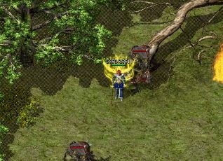 在传奇私服中,许多高级技能书是从何处获得的呢? 在传奇私服中,许多高级技能书是从何处获得的呢?