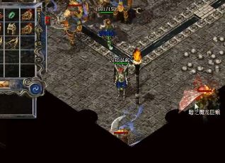 ��ְҵ����֮���������Ż�����