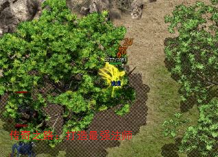 ����֮·��������ǿ��ʦ