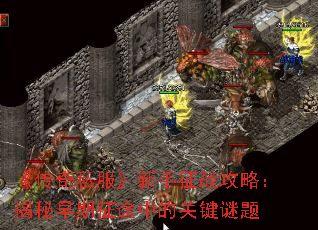 ������˽����������ս���ԣ�����������;�еĹؼ�����