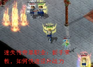 ��ʧ���浥ְҵ��������̣���ο�������ս��