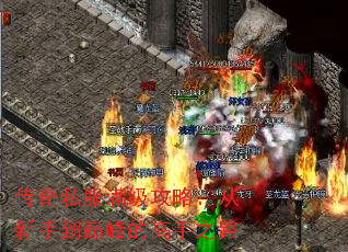 传奇私服满级攻略:从新手到巅峰的高手之路 传奇私服满级攻略:从新手到巅峰的高手之路