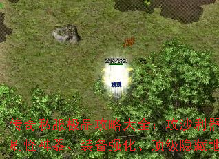 传奇私服极品攻略大全:攻沙利器、刷怪神器、装备强化、顶级隐藏地图 传奇私服极品攻略大全:攻沙利器、刷怪神器、装备强化、顶级隐藏地图