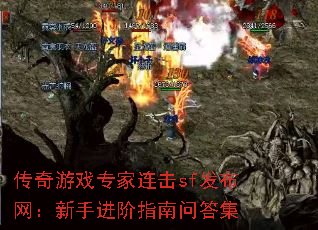 传奇游戏专家连击sf发布网:新手进阶指南问答集 传奇游戏专家连击sf发布网:新手进阶指南问答集