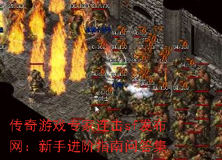 传奇游戏专家连击sf发布网:新手进阶指南问答集 传奇游戏专家连击sf发布网:新手进阶指南问答集