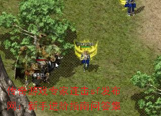 传奇游戏专家连击sf发布网:新手进阶指南问答集 传奇游戏专家连击sf发布网:新手进阶指南问答集