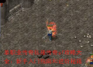 单职业传奇私服传奇sf攻略大全:新手入门指南和进阶秘籍 单职业传奇私服传奇sf攻略大全:新手入门指南和进阶秘籍