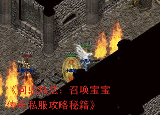 《问鼎玛法:召唤宝宝传奇私服攻略秘籍》 《问鼎玛法:召唤宝宝传奇私服攻略秘籍》