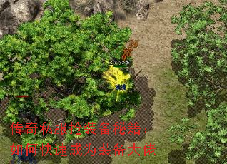 传奇私服抢装备秘籍:如何快速成为装备大佬 传奇私服抢装备秘籍:如何快速成为装备大佬