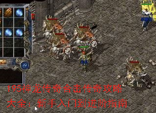 195神龙传奇合击传奇攻略大全:新手入门到进阶指南 195神龙传奇合击传奇攻略大全:新手入门到进阶指南