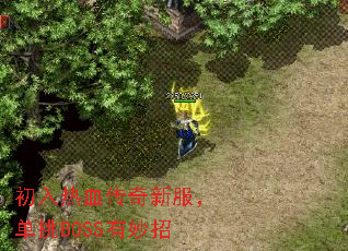 初入热血传奇新服,单挑BOSS有妙招 初入热血传奇新服,单挑BOSS有妙招