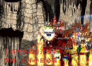 手机传奇私服开服全攻略:新手小白必看 手机传奇私服开服全攻略:新手小白必看