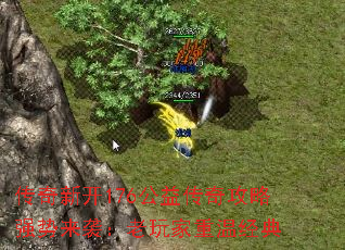 �����¿�176���洫�湥��ǿ����Ϯ����������¾���