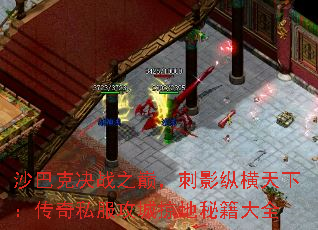 沙巴克决战之巅,刺影纵横天下:传奇私服攻城掠地秘籍大全 沙巴克决战之巅,刺影纵横天下:传奇私服攻城掠地秘籍大全