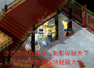 沙巴克决战之巅,刺影纵横天下:传奇私服攻城掠地秘籍大全 沙巴克决战之巅,刺影纵横天下:传奇私服攻城掠地秘籍大全