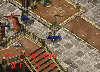 传奇sf新开全攻略:新手入门到封神 传奇sf新开全攻略:新手入门到封神