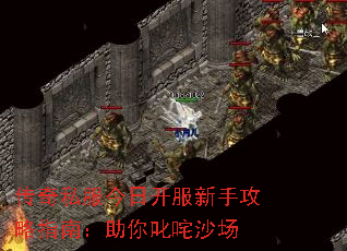 传奇私服今日开服新手攻略指南:助你叱咤沙场 传奇私服今日开服新手攻略指南:助你叱咤沙场