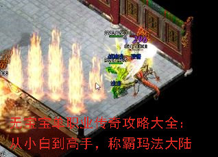 �ޱ�����ְҵ���湥�Դ�ȫ����С�׵����֣��ư��귨��½