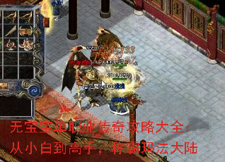 �ޱ�����ְҵ���湥�Դ�ȫ����С�׵����֣��ư��귨��½