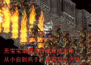 无宝宝单职业传奇攻略大全:从小白到高手,称霸玛法大陆 无宝宝单职业传奇攻略大全:从小白到高手,称霸玛法大陆