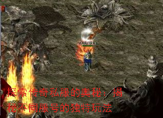 探索传奇私服的奥秘:揭秘不同服号的独特玩法 探索传奇私服的奥秘:揭秘不同服号的独特玩法