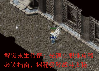 解锁永生传奇:光速单职业攻略必读指南,揭秘极致战斗奥秘 解锁永生传奇:光速单职业攻略必读指南,揭秘极致战斗奥秘