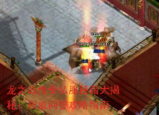 ��֮ս����˽���ؼ�����أ�Ȩ���ʴ���ָ��