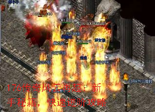 176传奇风云再起:新手秘籍,快速进阶攻略 176传奇风云再起:新手秘籍,快速进阶攻略