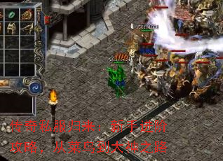 传奇私服归来:新手进阶攻略,从菜鸟到大神之路 传奇私服归来:新手进阶攻略,从菜鸟到大神之路