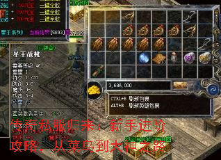 传奇私服归来:新手进阶攻略,从菜鸟到大神之路 传奇私服归来:新手进阶攻略,从菜鸟到大神之路