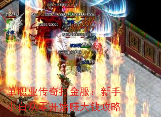 单职业传奇打金服:新手小白从零开始赚大钱攻略 单职业传奇打金服:新手小白从零开始赚大钱攻略