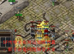 SF传奇发布网站攻略锦囊:新手必备问题解答大全 SF传奇发布网站攻略锦囊:新手必备问题解答大全