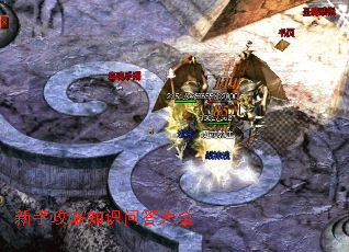 新手攻略知识问答大全 新手攻略知识问答大全