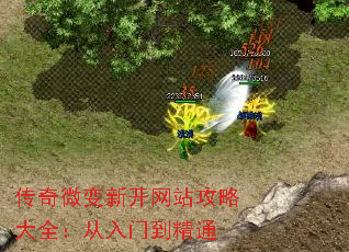 传奇微变新开网站攻略大全:从入门到精通 传奇微变新开网站攻略大全:从入门到精通