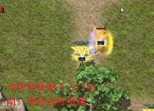 传奇私服新手入门指南:奇私服传奇篇 传奇私服新手入门指南:奇私服传奇篇