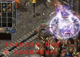 圣天单职业传奇:斩神夺宝,征战巅峰攻略秘籍 圣天单职业传奇:斩神夺宝,征战巅峰攻略秘籍