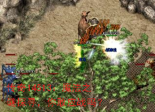 传奇14513:魔法之谜探寻,你敢应战吗? 传奇14513:魔法之谜探寻,你敢应战吗?