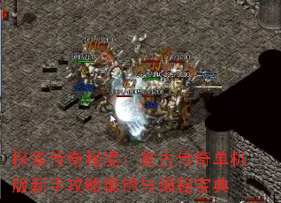 探索传奇秘境:复古传奇单机版新手攻略集锦与揭秘宝典 探索传奇秘境:复古传奇单机版新手攻略集锦与揭秘宝典