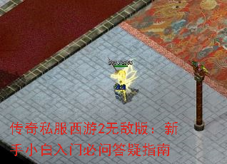 传奇私服西游2无敌版:新手小白入门必问答疑指南 传奇私服西游2无敌版:新手小白入门必问答疑指南