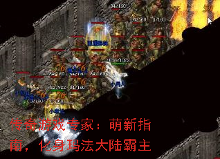 传奇游戏专家:萌新指南,化身玛法大陆霸主 传奇游戏专家:萌新指南,化身玛法大陆霸主