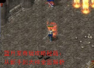 蓝月至尊版攻略秘籍:从新手到大神全面解析 蓝月至尊版攻略秘籍:从新手到大神全面解析