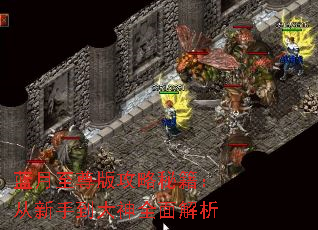 蓝月至尊版攻略秘籍:从新手到大神全面解析 蓝月至尊版攻略秘籍:从新手到大神全面解析