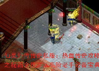 仙灵外传传奇私服:热血传奇攻略之秘籍全搜罗,高阶老手必备宝典 仙灵外传传奇私服:热血传奇攻略之秘籍全搜罗,高阶老手必备宝典