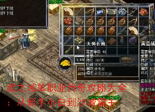 武之域单职业传奇攻略大全:从新手小白到沙城霸主 武之域单职业传奇攻略大全:从新手小白到沙城霸主