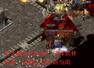 倚天屠龙记私服:破译武林秘籍,征霸江湖之路指南 倚天屠龙记私服:破译武林秘籍,征霸江湖之路指南