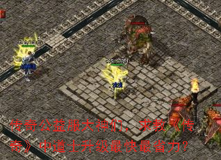 传奇公益服大神们,求教《传奇》中道士升级最快最省力? 传奇公益服大神们,求教《传奇》中道士升级最快最省力?