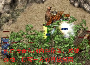 热血传奇私服内存秘籍:攻城掠地,称霸一方的终极指南 热血传奇私服内存秘籍:攻城掠地,称霸一方的终极指南